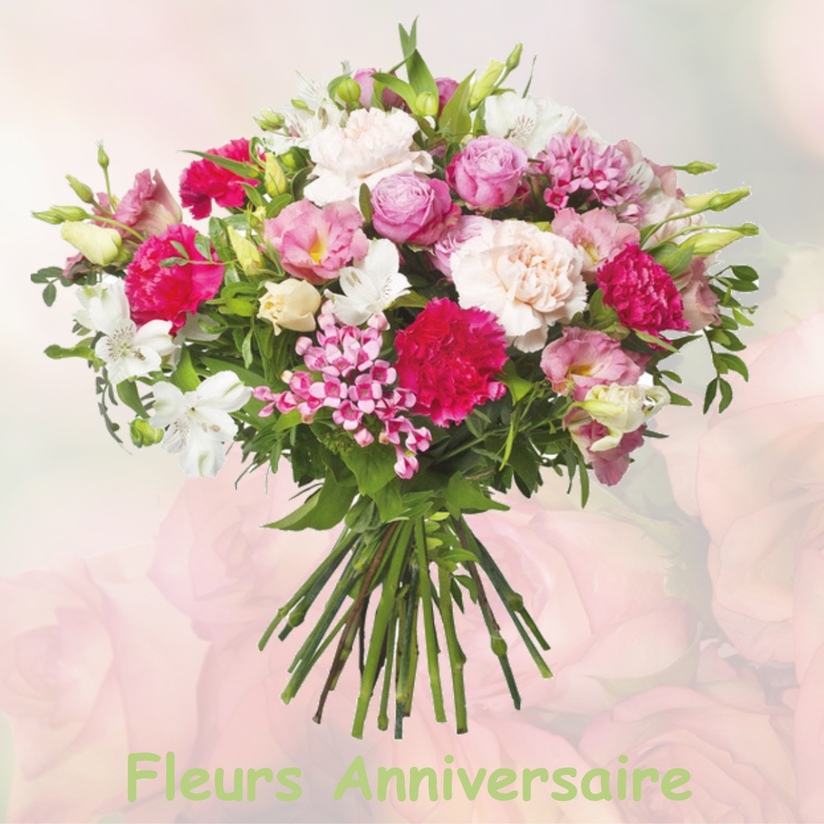fleurs anniversaire MAS-DES-COURS